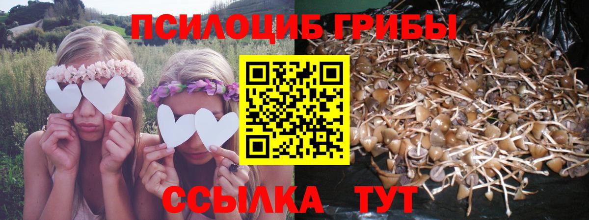 Псилоцибиновые грибы MAGIC MUSHROOMS  Вход с VPN  Кузнецк 
