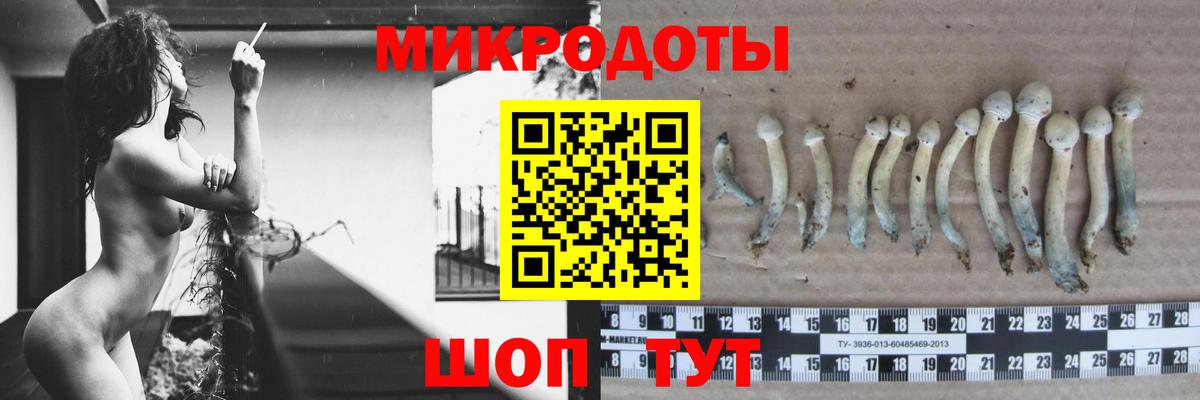 Псилоцибиновые грибы GOLDEN TEACHER Кузнецк
